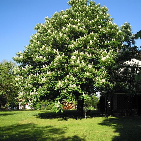 Holiday Home Giaron Rosolina Bagian luar foto